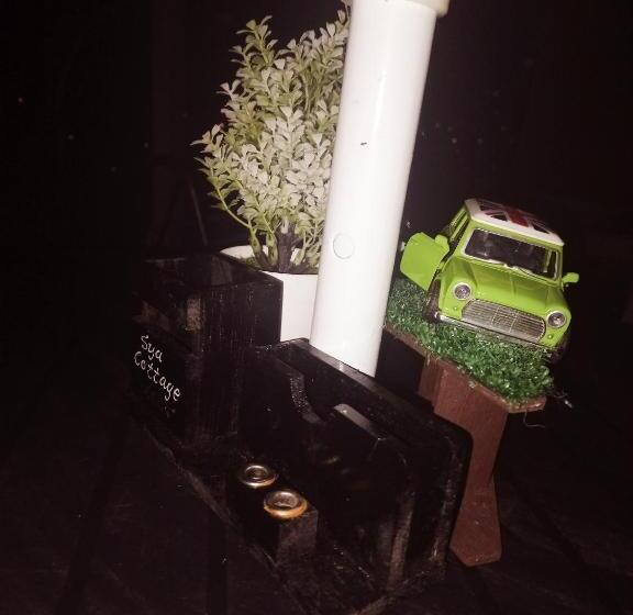 פנסיון Sya Cottage