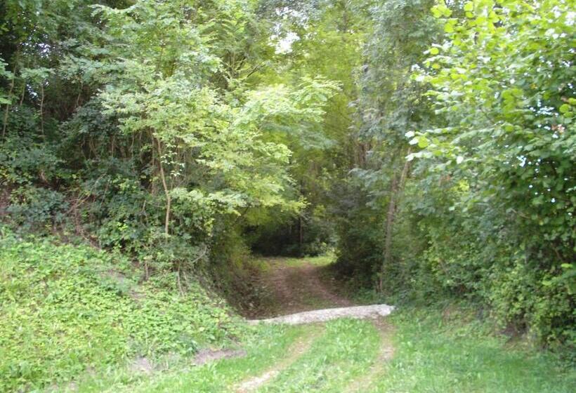 ベッドアンドブレックファースト 2 Chambres D Hôtes Privées Louées Séparément Avec Communs à Partager