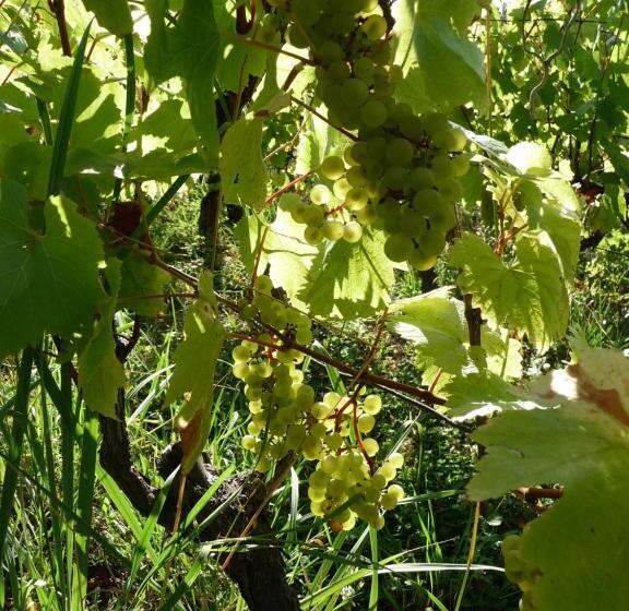 ベッドアンドブレックファースト 2 Chambres D Hôtes Privées Louées Séparément Avec Communs à Partager