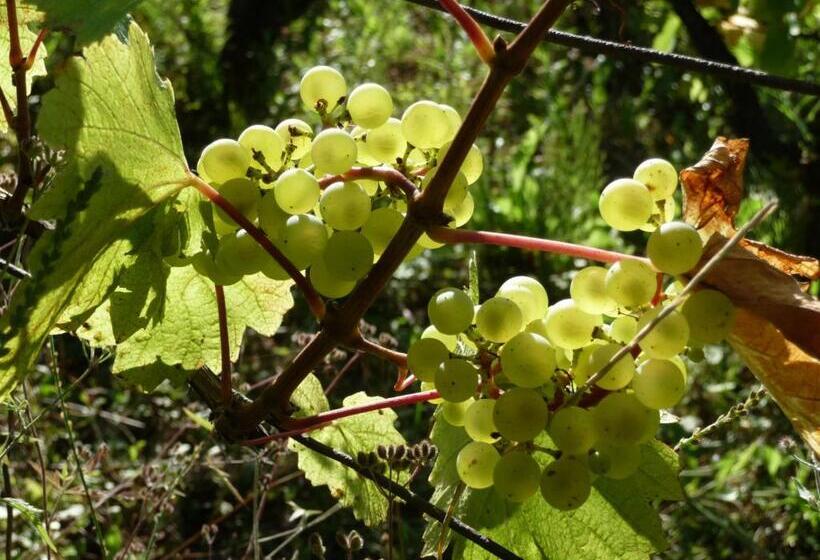 ベッドアンドブレックファースト 2 Chambres D Hôtes Privées Louées Séparément Avec Communs à Partager