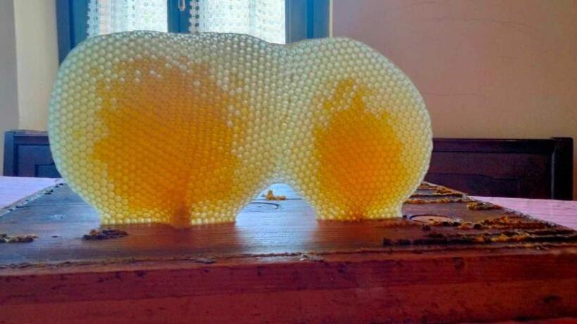 민박 Agriturismo Campo Aperto