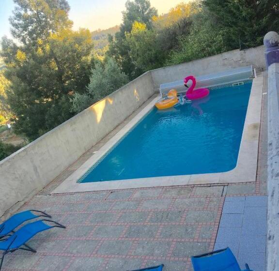 Catloc & Kitcat Alojamento Local