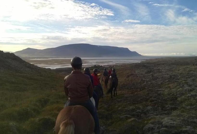 Szálloda Icelandhorsetours   Helluland