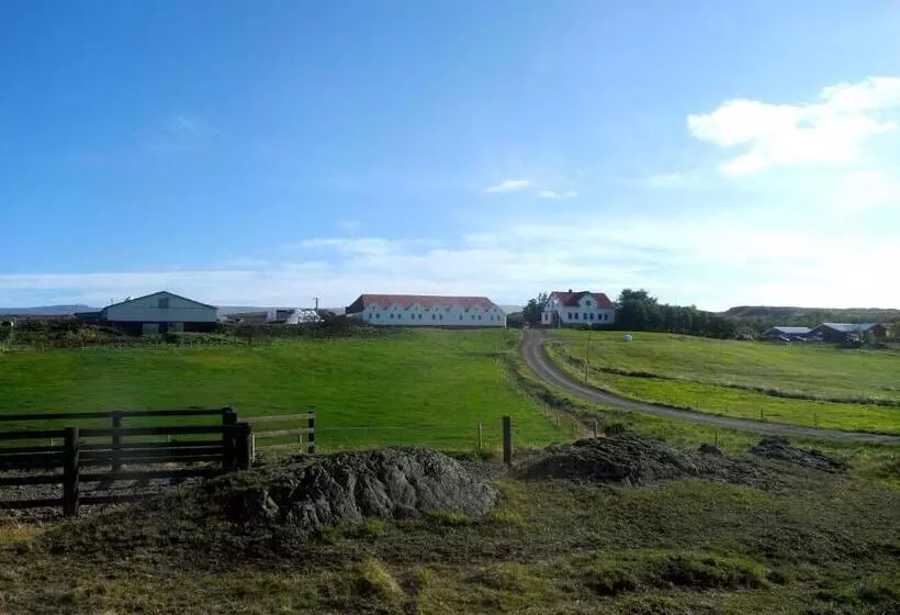 هتل Icelandhorsetours   Helluland