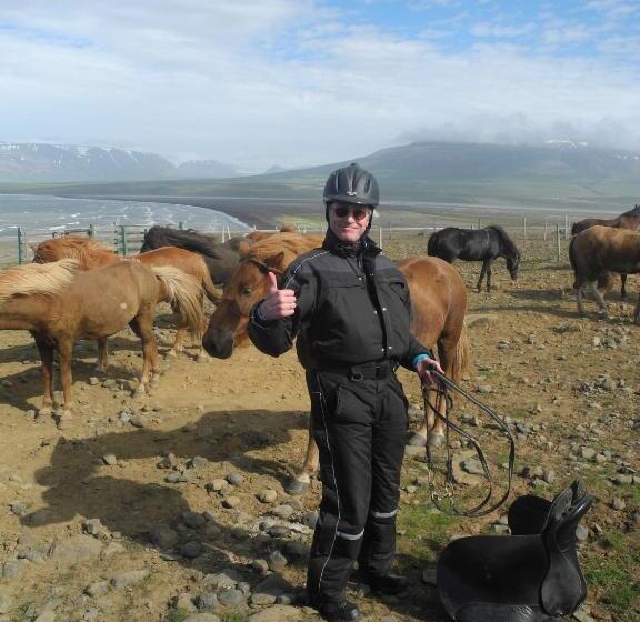 Szálloda Icelandhorsetours   Helluland