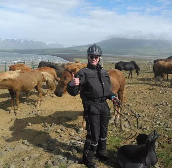 هتل Icelandhorsetours   Helluland