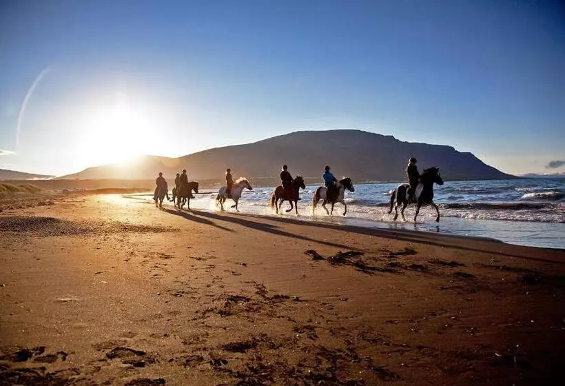 هتل Icelandhorsetours   Helluland