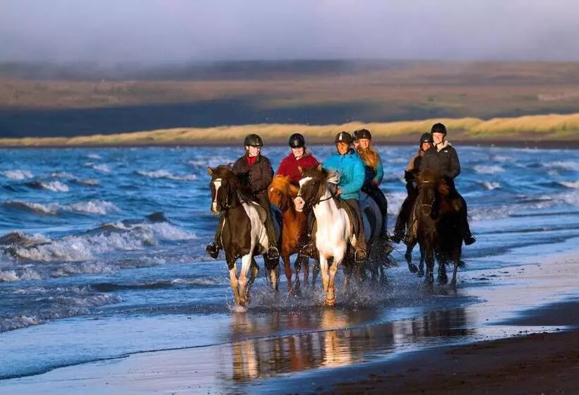 هتل Icelandhorsetours   Helluland