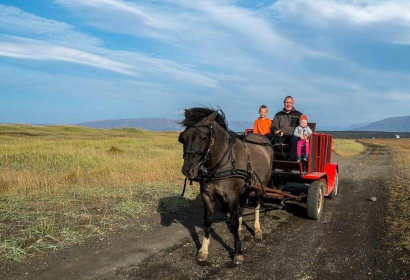 Szálloda Icelandhorsetours   Helluland