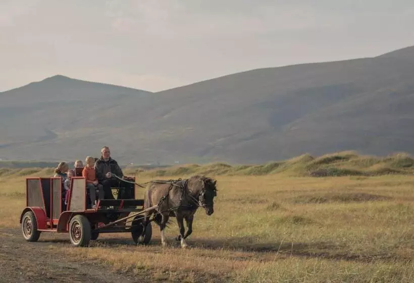 هتل Icelandhorsetours   Helluland