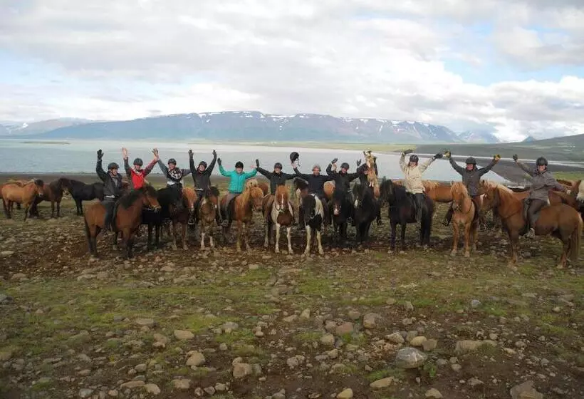 هتل Icelandhorsetours   Helluland
