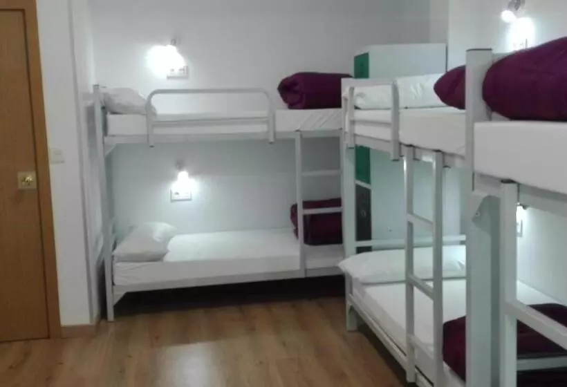 ペンション Albergue Lalin Centro