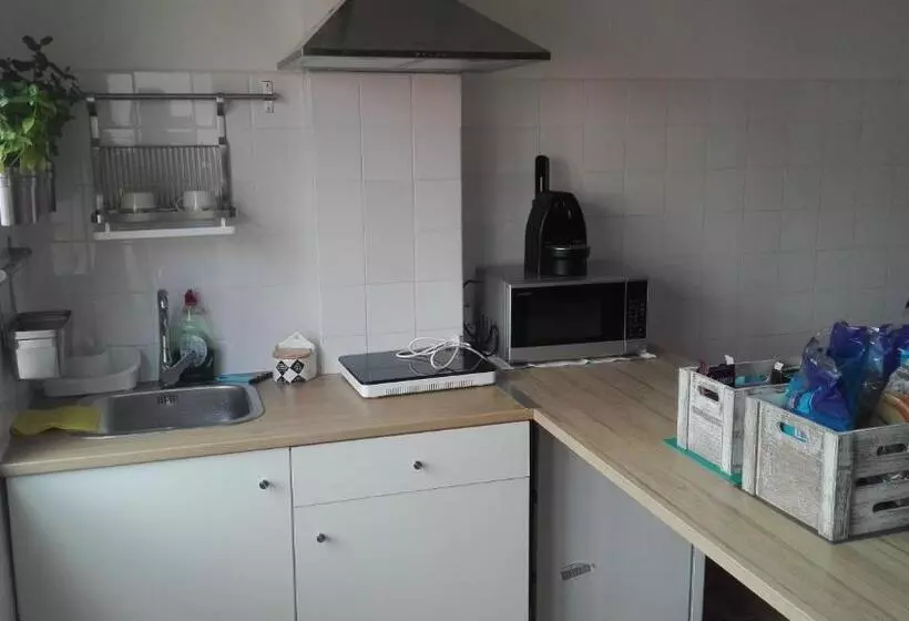 ペンション Albergue Lalin Centro