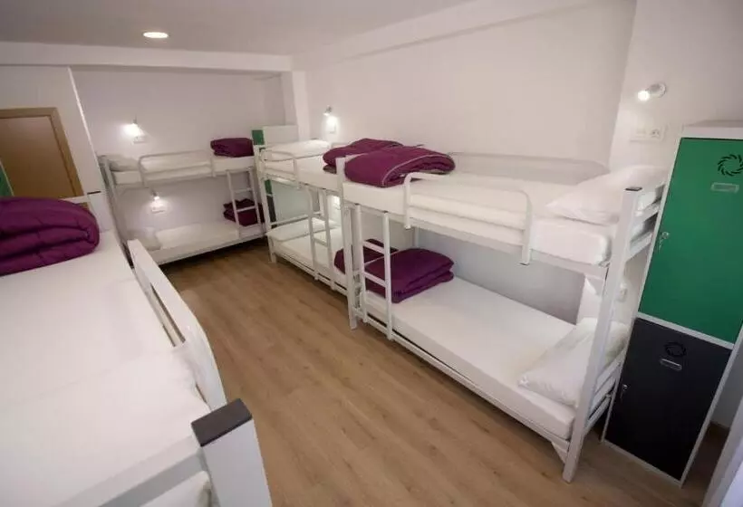 ペンション Albergue Lalin Centro