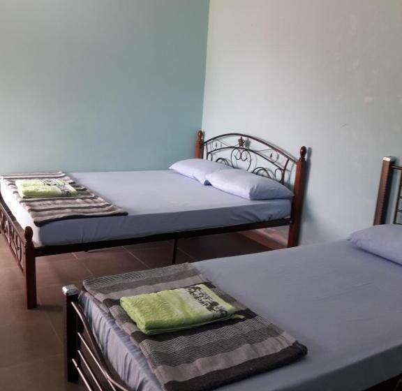 פנסיון Canopy Inn