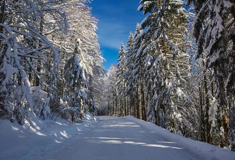 펜션 Forsthaus Apartment