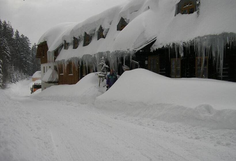 펜션 Forsthaus Apartment