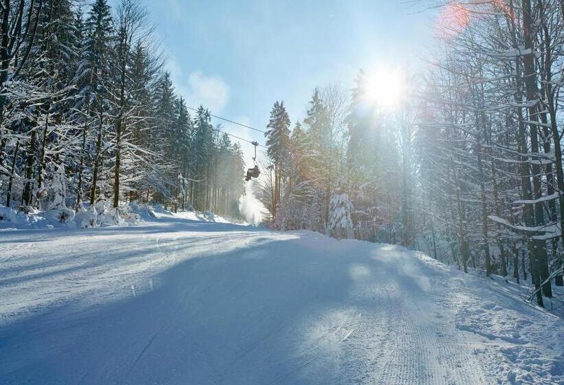 펜션 Forsthaus Apartment