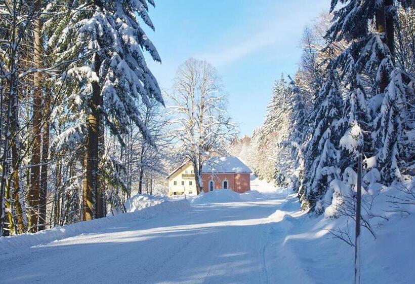 펜션 Forsthaus Apartment