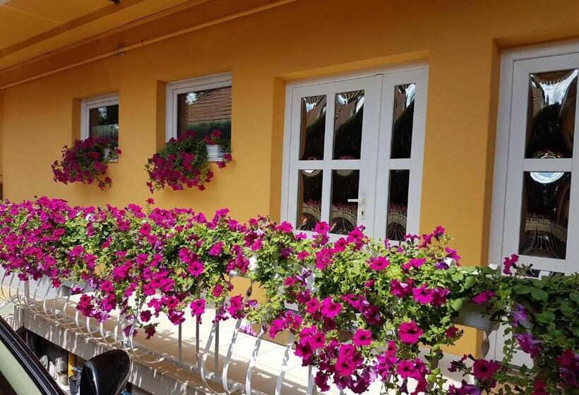 膳宿费 Ilona Vendégház