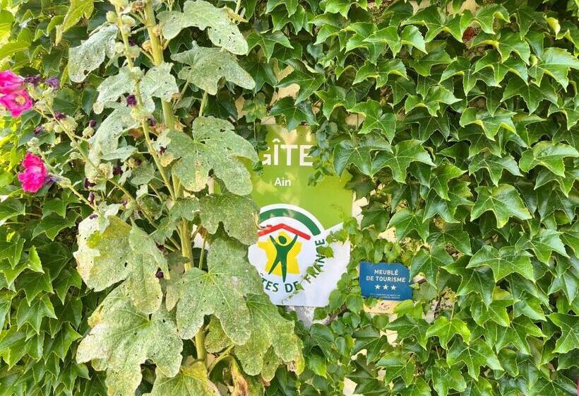 פנסיון Le Credo