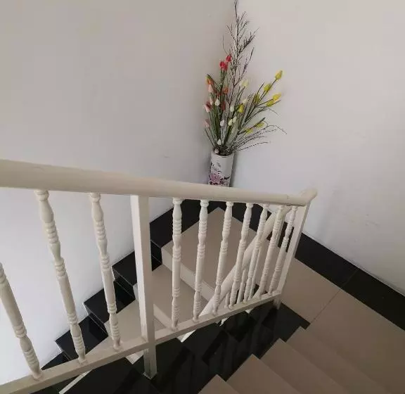 پانسیون Summer Green Lodge