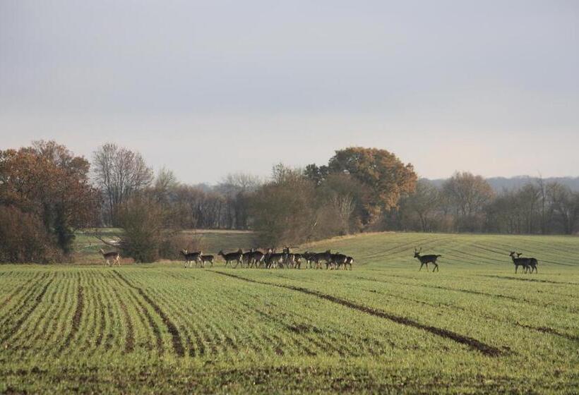 ベッドアンドブレックファースト Puttocks Farm