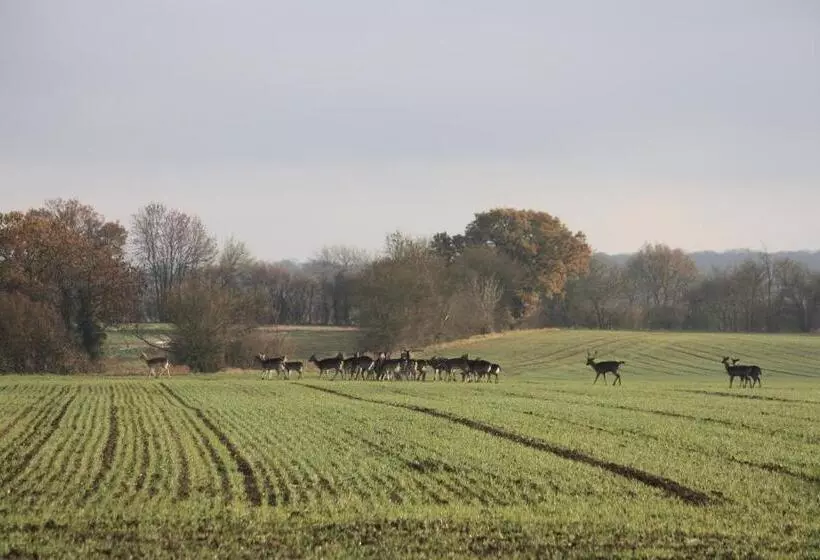 Aamiaismajoitus (B&B) Puttocks Farm