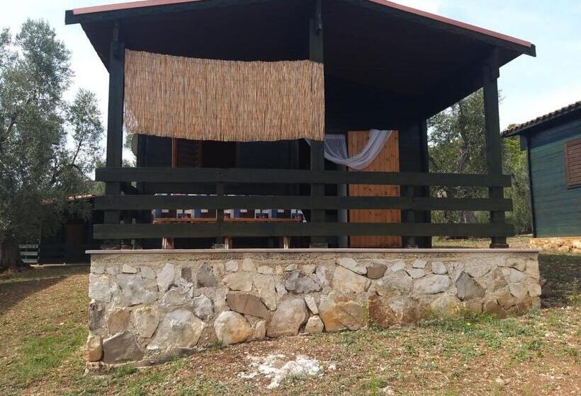 Отель Agriturismo Della Torre