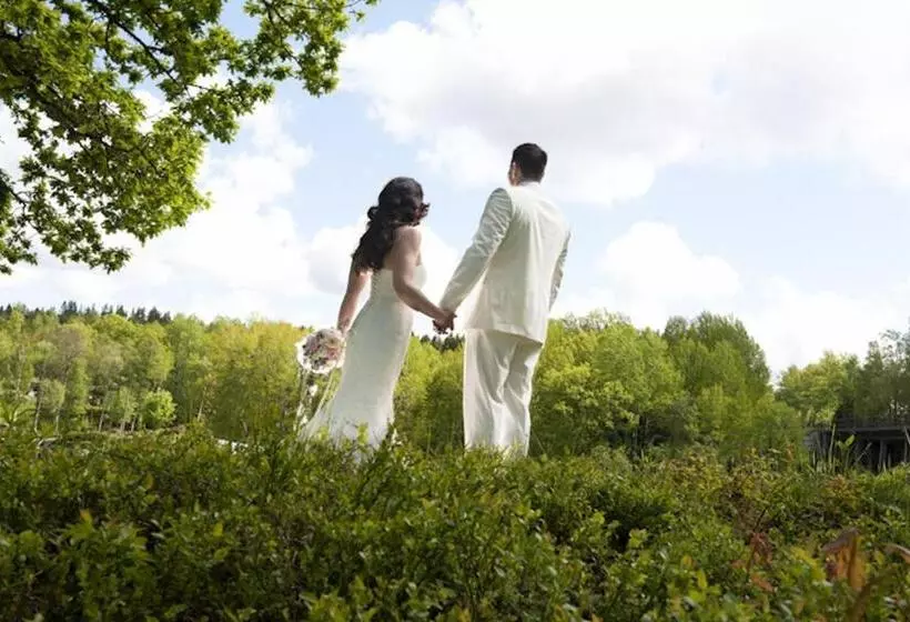 Hotelli åh Stifts  & Konferensgård