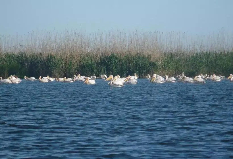 Majatalo Casa Iustina Sulina