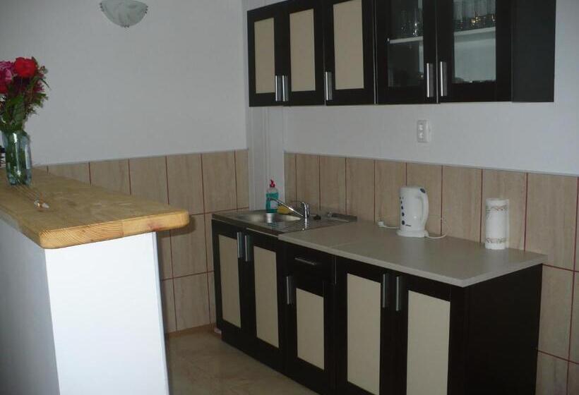 膳宿费 Casa Iustina Sulina