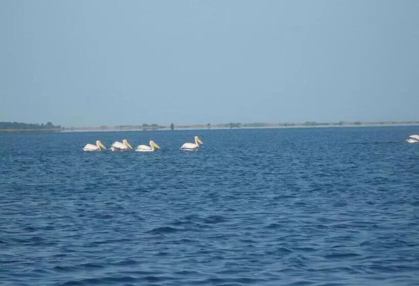 Majatalo Casa Iustina Sulina