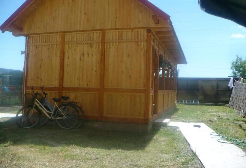 膳宿费 Casa Iustina Sulina