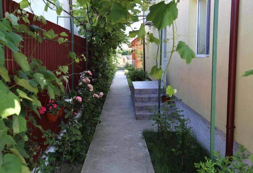 膳宿费 Casa Iustina Sulina