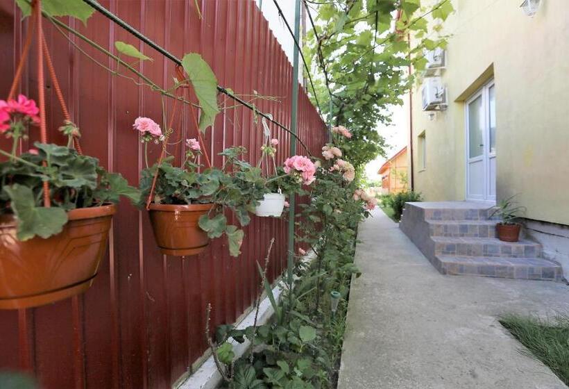 膳宿费 Casa Iustina Sulina