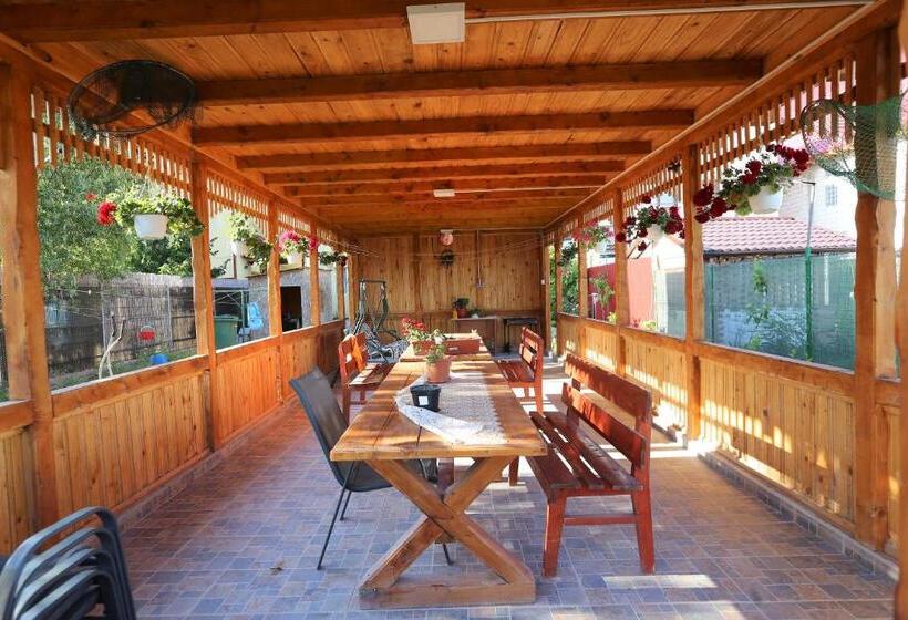 膳宿费 Casa Iustina Sulina