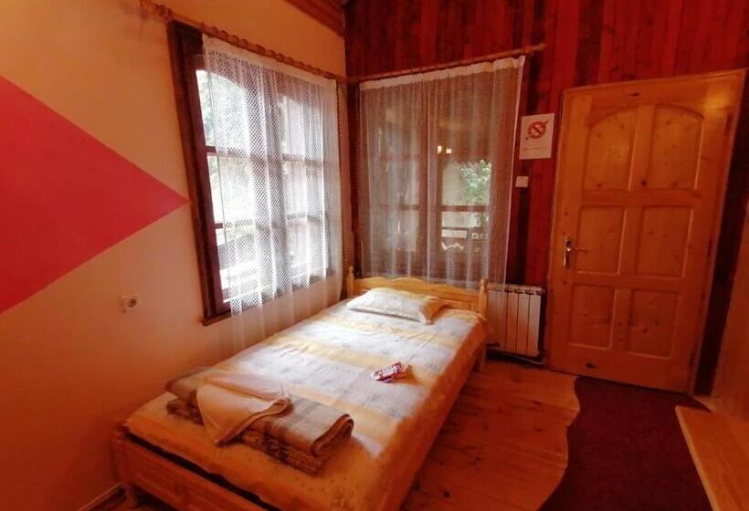 ペンション семеен хотел калина Family Hotel Kalina говедарци