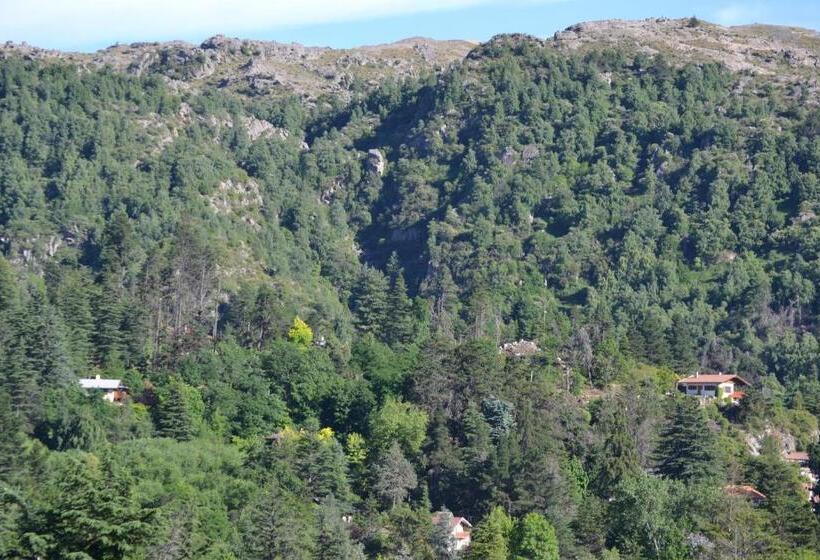 Pension Hosteria El Ceibo