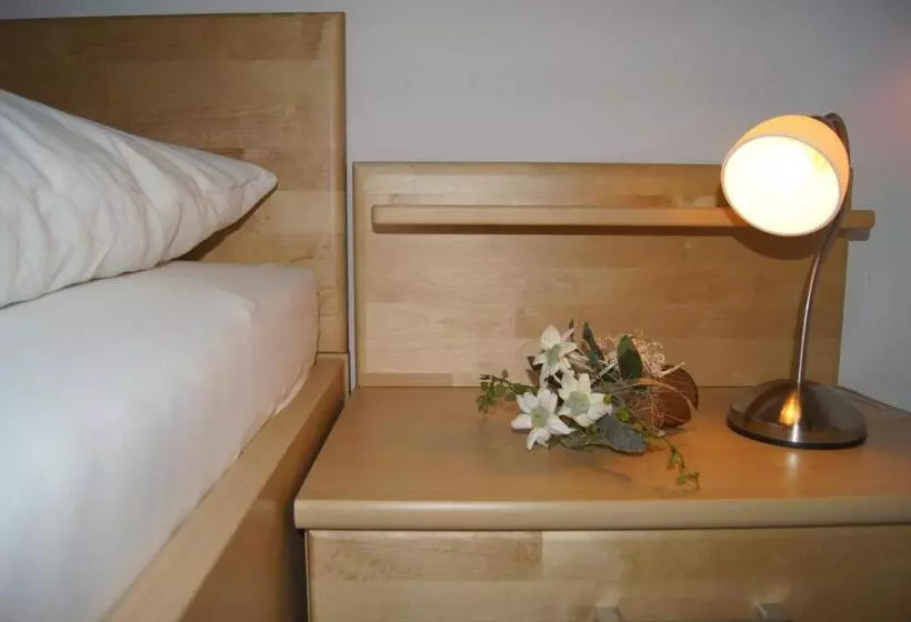 Pension Schipflinger Itter