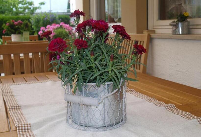 Residence Apartment Nelkenstein