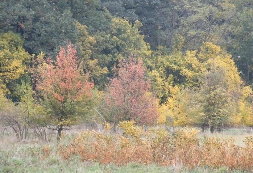 Vizimalom Kemping, Panzió és étterem