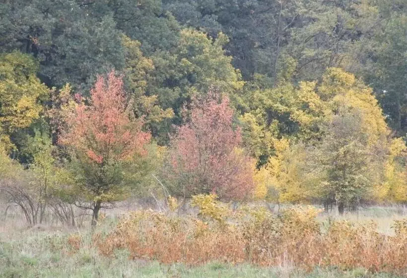 Vizimalom Kemping, Panzió és étterem