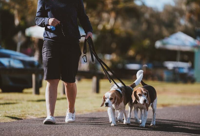 Big4 Breeze Holiday Parks   Bargara