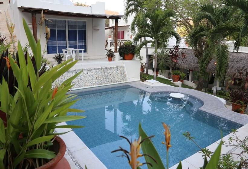 Отель Boutique Casa Blanca Del Sol