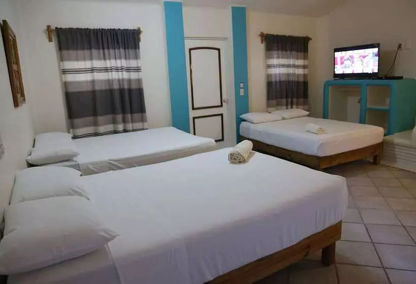 Hotelli Boutique Casa Blanca Del Sol