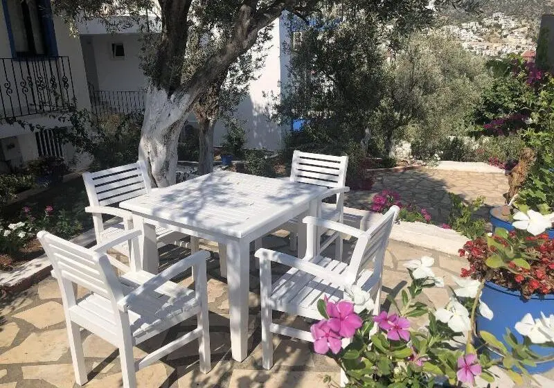 Hotel Lizo