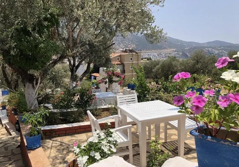 Hotel Lizo