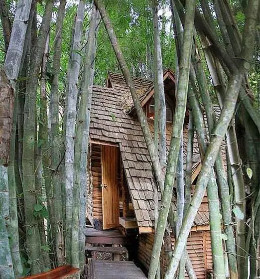 ホテル Rabeang Pasak Treehouse Resort