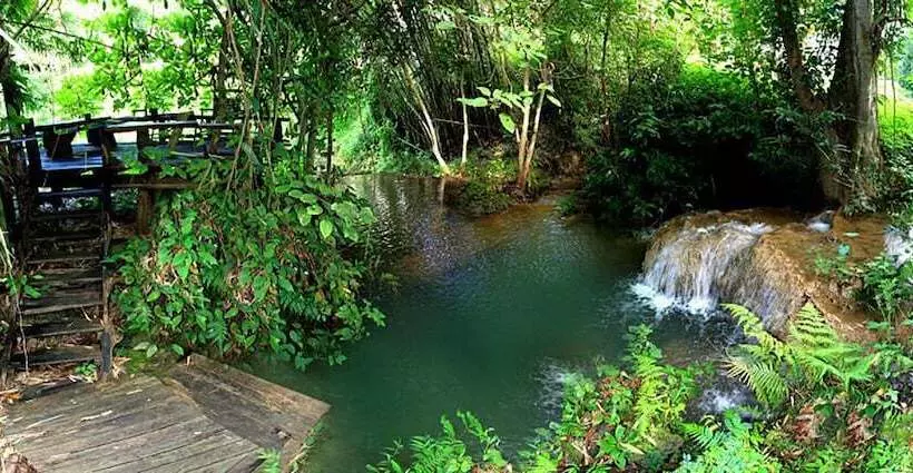 ホテル Rabeang Pasak Treehouse Resort